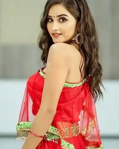 Call Girls Service Lepakshi